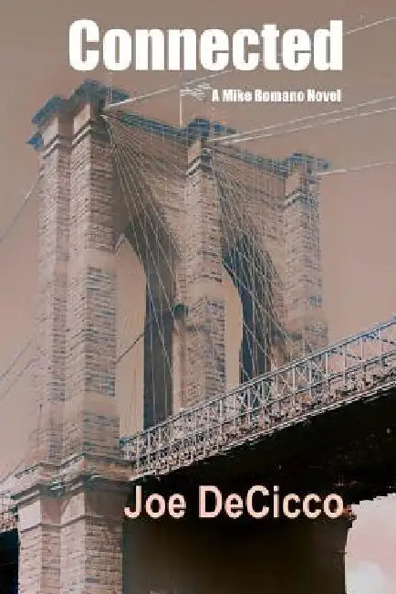 Connected: book 5 of the Mike Romano Series by Joe Decicco