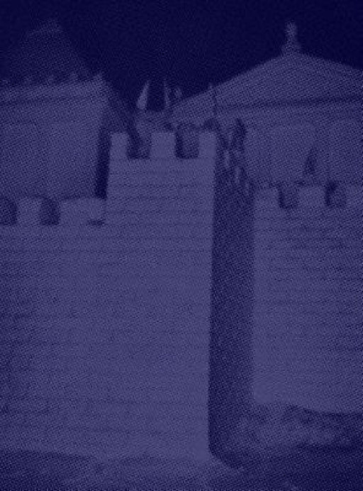 Albert Elm: What Sort of Life Is This by Albert Elm