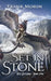 Set in Stone by Frank Morin