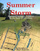 Summer Storm: Regimental Wargame Scenarios for the Battle of Gettysburg by Brad Butkovich
