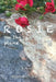 Rosie: on the plane by Diane C. Shore
