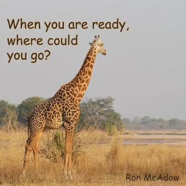 When You Are Ready, Where Could You Go? by Ron McAdow