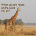 When You Are Ready, Where Could You Go? by Ron McAdow
