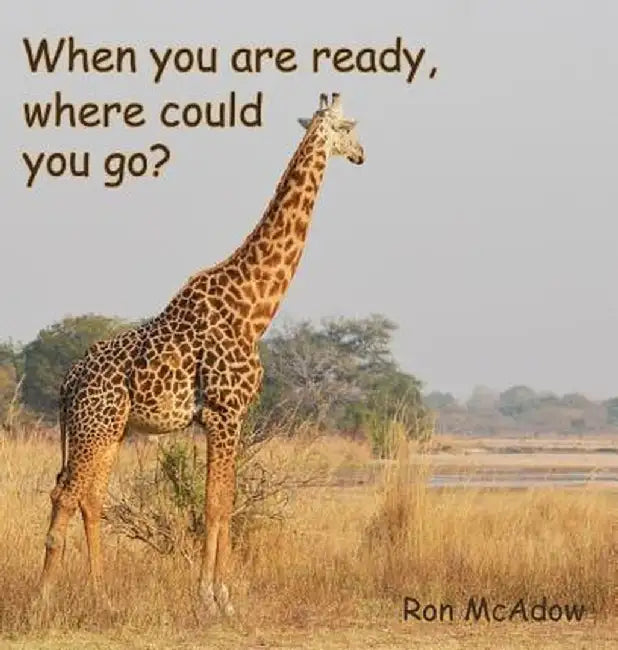 When You Are Ready, Where Could You Go? by Ron McAdow