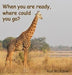When You Are Ready, Where Could You Go? by Ron McAdow
