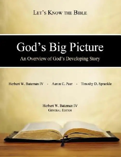 God's Big Picture: An Overview of God's Developing Story by Aaron C. Peer