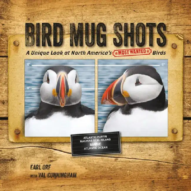 Bird Mug Shots: A Unique Look at North America's Most Wanted Birds by Earl Orf
