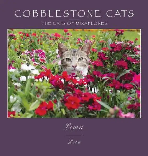 Cobblestone Cats - Lima: The Cats of Miraflores by Alan Panattoni