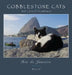 Cobblestone Cats - Rio de Janeiro: The Cats of Flamengo by Alan Panattoni