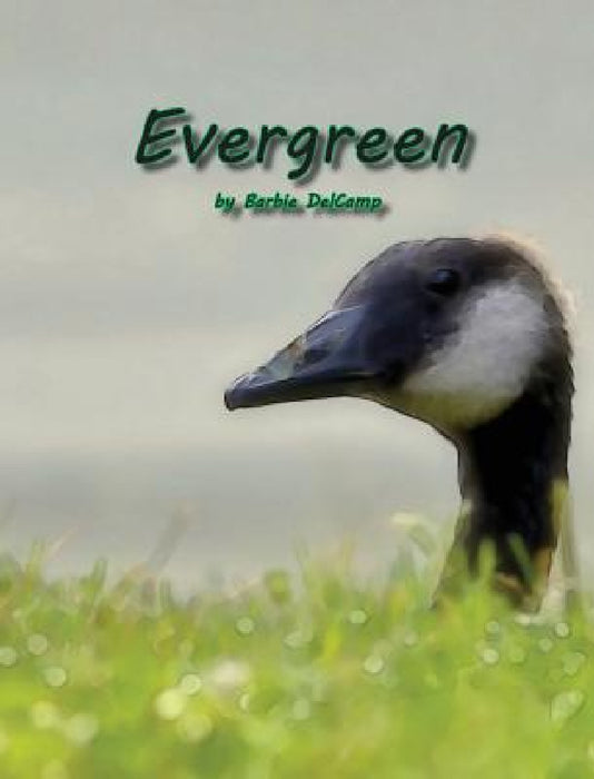 Evergreen by Barbie Delcamp