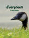 Evergreen by Barbie Delcamp