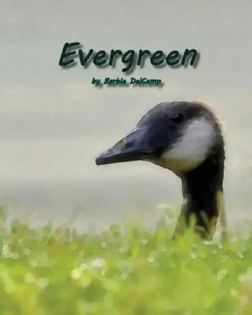 Evergreen by Barbie Delcamp