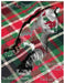 Plaid-A-Puss: A Collection of Cats on Plaid & Plaid on Cats by Ashley J. Hansen