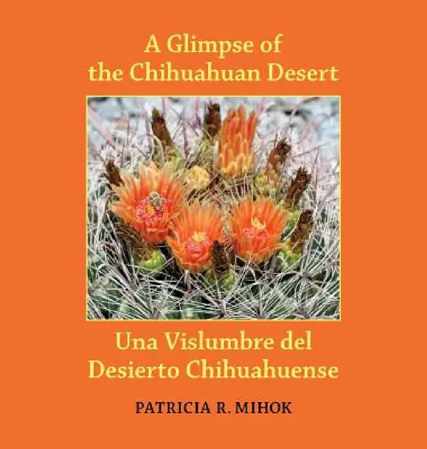 A Glimpse of the Chihuahuan Desert/Una Vislumbre del Desierto Chihuahuense by Patricia R. Mihok, Caiti Steele, Donna Yargosz