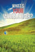 What's Your Wheelchair? by Edison R. Guzman