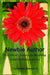 Newbie Author: This Chick's Journey to Becoming a Self-Published Author by Carolynne Raymond