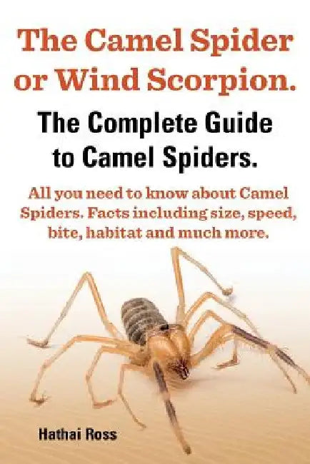 The Camel Spider or Wind Scorpion. the Complete Guide to Camel Spiders. All You Need to Know about Camel Spiders. Facts Including Size, Speed, Bite an by Hathai Ross