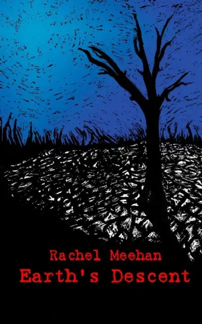 Earth's Descent (Book 3: Troubled Times) by Merle Hummrich