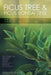 Ficus Tree and Ficus Bonsai Tree. The Complete Guide to Growing, Pruning and Caring for Ficus. Top Varieties: Benjamina, Ginseng, Retusa, Microcarpa, by Bernard Brook