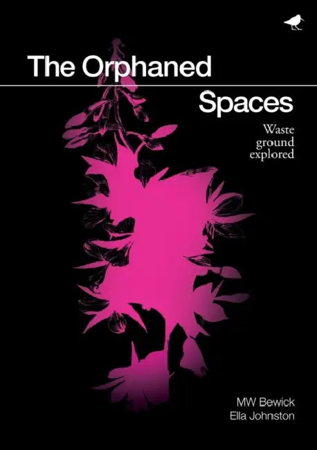The Orphaned Spaces