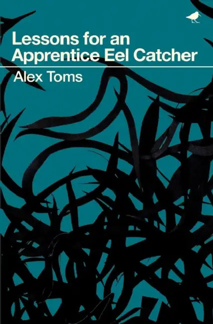 Lessons For An Apprentice Eel Catcher