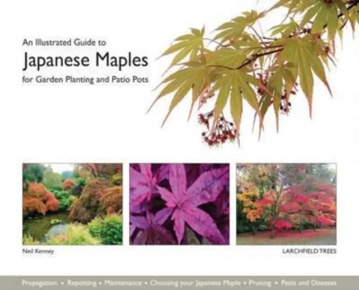 An Illustrated Guide to Japanese Maples for Garden Planting and Patio Pots by Neil Kenney