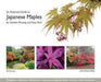 An Illustrated Guide to Japanese Maples for Garden Planting and Patio Pots by Neil Kenney