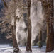 Yosemite by Charles Cramer