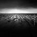 Mud - Sand by James Osmond