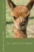 So ... what IS an alpaca? by Joanne Louise Dell