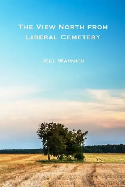 The View North From Liberal Cemetery by Joel Wapnick