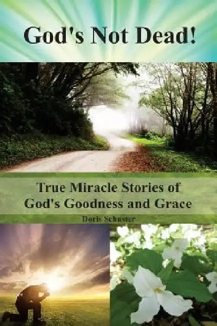 God's Not Dead!: True Miracle Stories of God's Goodness and Grace by Doris Schuster