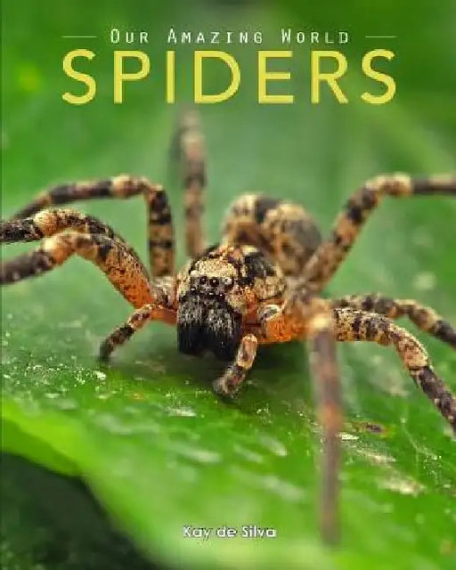 Spiders: Amazing Pictures & Fun Facts on Animals in Nature by Kay De Silva