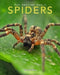 Spiders: Amazing Pictures & Fun Facts on Animals in Nature by Kay De Silva
