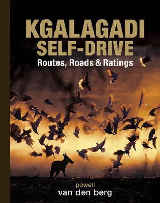 Kgalagadi Self-Drive by Philip And Ingrid Van Den Berg