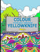 Colour Your Way Through Yellowknife by Tanya Leontyeva