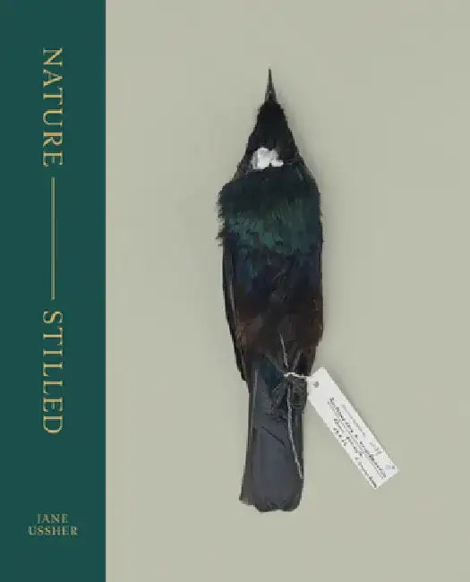 Nature -- Stilled by Jane Ussher