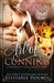 Art of Cunning by Holmes, Steffanie