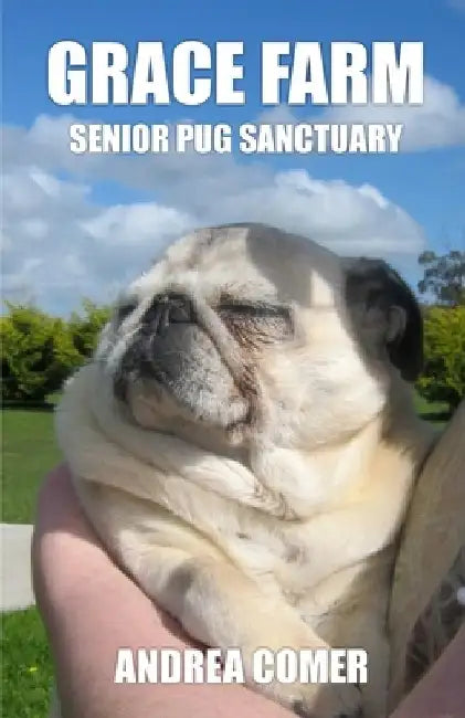 Grace Farm Senior Pug Sanctuary by Andrea Comer