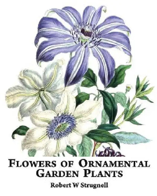 Flowers of Ornamental Garden Plants by Robert W. Strugnell