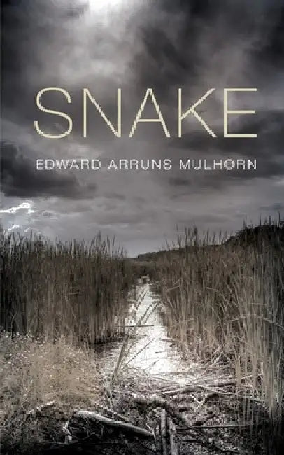 Snake by Edward Arruns Mulhorn
