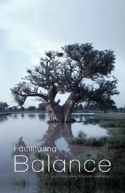 Facilitating Balance: Practical Steps Towards Wellbeing by Mudassar Hussain