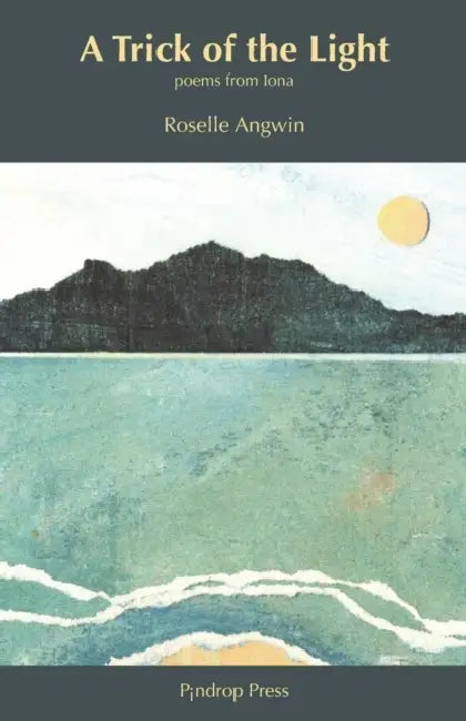 A Trick Of The Light by Roselle Angwin