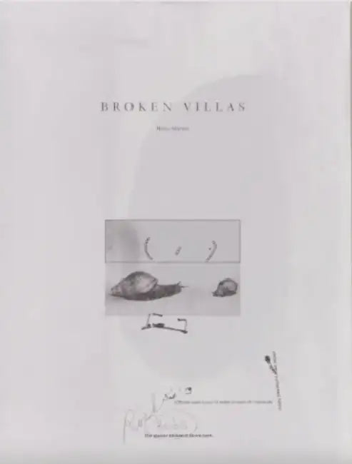 Broken Villas by Helen Marten