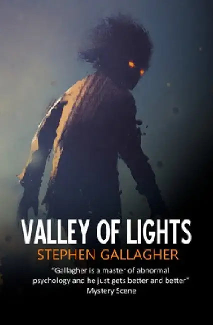 Valley of Lights by Gallagher, Stephen