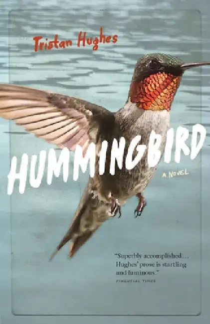 Hummingbird by Tristan Hughes