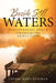 Beside Still Waters: Discovering Peace in the Midst of Your Child's Addiction by Freeman, Cherri Raws