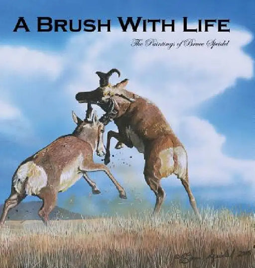A Brush With Life: The Paintings of Bruce Speidel by Bruce Speidel