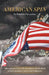 American Spin by Patricia Vaccarino