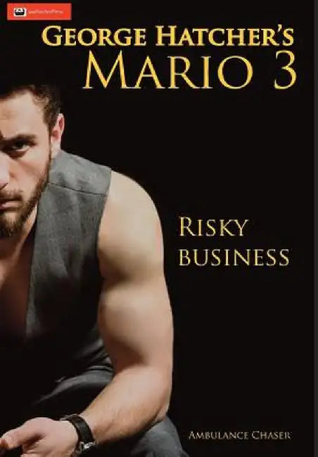 Mario 3: Risky Business by George J. Hatcher